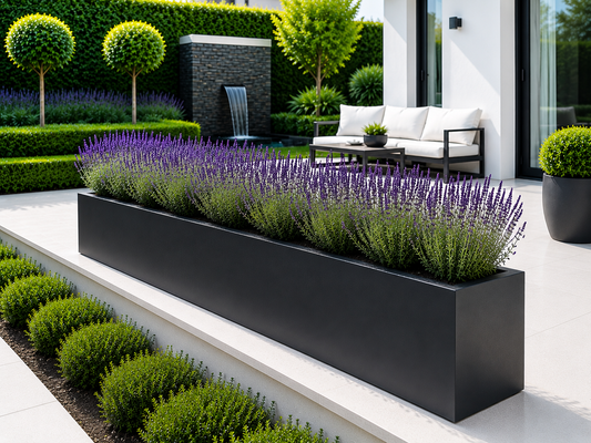 Modern garden with black planters filled with lavender and greenery, featuring a white outdoor sofa.