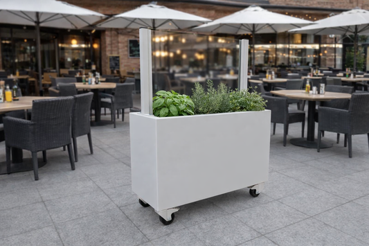 Tall Planter With Glass Partitional Screen Locking Caster Wheels