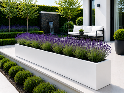 Modern outdoor setting with a white planter filled with lavender and greenery.